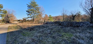 Land - Sale - ISTARSKA - GROŽNJAN - GROŽNJAN