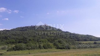 Land - Sale - ISTARSKA - MOTOVUN - MOTOVUN