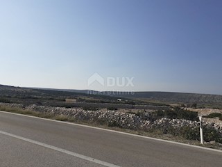 Land - Sale - ZADARSKA - PAG - KOLAN