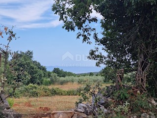Land - Sale - ISTARSKA - MARČANA - KRNICA