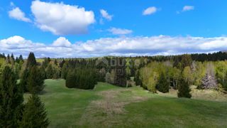 Land - Sale - PRIMORSKO-GORANSKA - SKRAD - HLEVCI