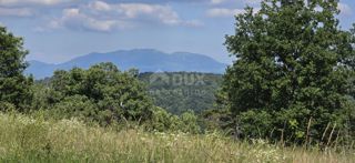 Land - Sale - ISTARSKA - TINJAN - TINJAN