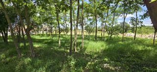 Land - Sale - ISTARSKA - KANFANAR - KANFANAR