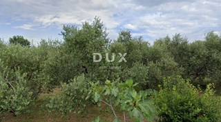 Land - Sale - PRIMORSKO-GORANSKA - KRK - BRZAC