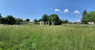 Grundstück - Verkauf - ISTARSKA - TINJAN - TINJAN