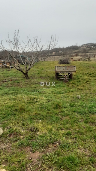 Land - Sale - ISTARSKA - UMAG - MATERADA