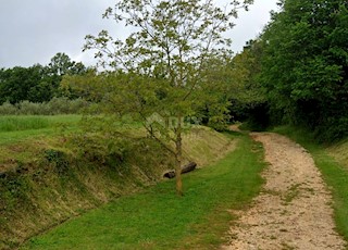 Grundstück - Verkauf - ISTARSKA - BARBAN - BARBAN