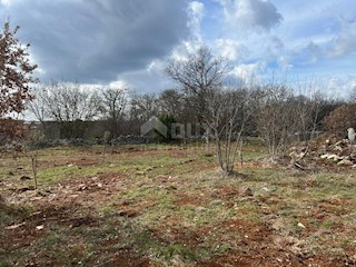 Land - Sale - ISTARSKA - KANFANAR - KANFANAR