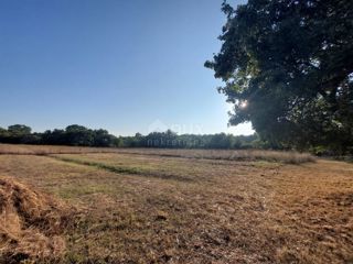 Land - Sale - ISTARSKA - MARČANA - MARČANA