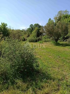 Zemljište - Prodaja - ISTARSKA - MARČANA - PAVIĆINI