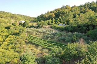 Land - Sale - ISTARSKA - GRAČIŠĆE - GRAČIŠĆE