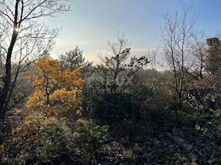 Land - Sale - ISTARSKA - LABIN - LABIN