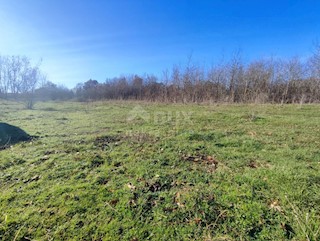 Land - Sale - ISTARSKA - BARBAN - MANJADVORCI