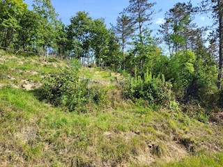 Grundstück - Verkauf - ISTARSKA - BUZET - HUM