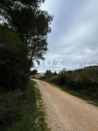 Land - Sale - ISTARSKA - PULA - PULA