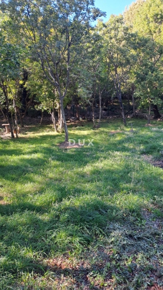 Land - Sale - PRIMORSKO-GORANSKA - NOVI VINODOLSKI - POVILE