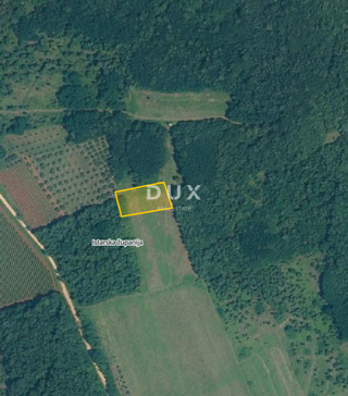 Grundstück - Verkauf - ISTARSKA - KAŠTELIR - LABINCI - CERJANI