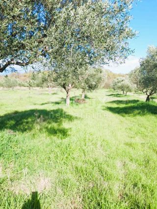 Zemljište - Prodaja - ISTARSKA - BALE - BALE