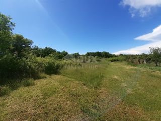 Land - Sale - ISTARSKA - SVETVINČENAT - REŽANCI