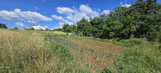 Land - Sale - ISTARSKA - TINJAN - TINJAN