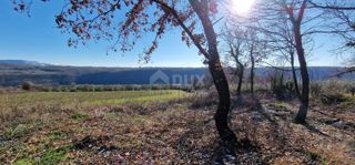 Land - Sale - ISTARSKA - LABIN - LABIN