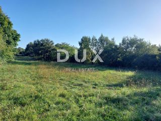 Land - Sale - ISTARSKA - ŽMINJ - ŽMINJ