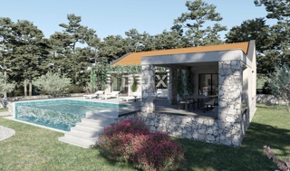 Land - Sale - ISTARSKA - ŽMINJ - ŽMINJ