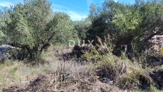 Grundstück - Verkauf - ZADARSKA - DUGI OTOK - BOŽAVA
