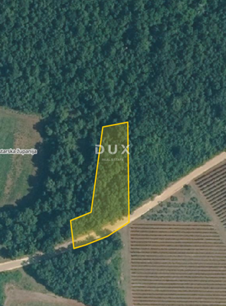 Land - Sale - ISTARSKA - VIŠNJAN - KORLEVIĆI