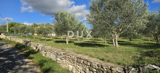 Grundstück - Verkauf - ISTARSKA - POREČ - POREČ