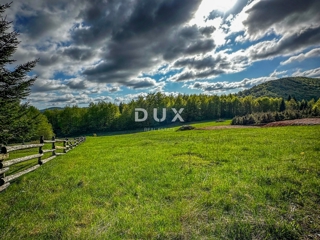 Land - Sale - PRIMORSKO-GORANSKA - RAVNA GORA - STARI LAZ