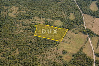 Zemljište - Prodaja - ISTARSKA - BALE - GOLAŠ