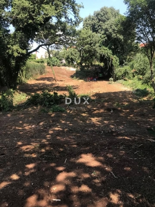 Land - Sale - ISTARSKA - MARČANA - PINEZIĆI