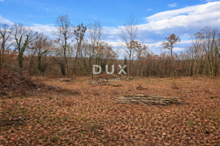 Grundstück - Verkauf - ISTARSKA - TINJAN - KRINGA