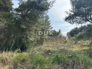 Grundstück - Verkauf - ISTARSKA - MEDULIN - MEDULIN