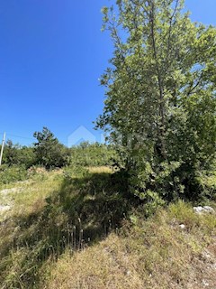 Land - Sale - ISTARSKA - LABIN - LABIN