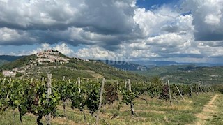 Land - Sale - ISTARSKA - MOTOVUN - MOTOVUN
