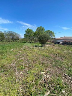 Land - Sale - ISTARSKA - LIŽNJAN - LIŽNJAN