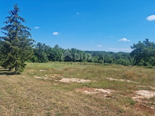Land - Sale - ISTARSKA - TINJAN - KRINGA