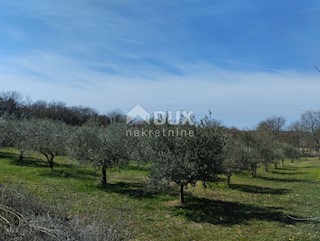 Land - Sale - ISTARSKA - LIŽNJAN - VALTURA