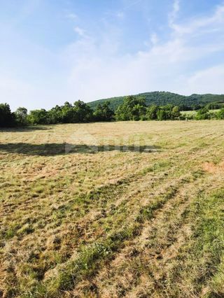 Land - Sale - ISTARSKA - LABIN - LABIN
