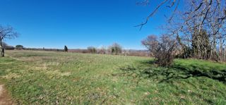 Land - Sale - ISTARSKA - BARBAN - BARBAN