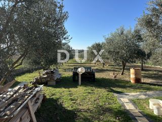 Land - Sale - ZADARSKA - ZADAR - CRNO