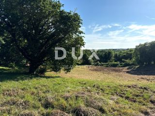 Land - Sale - ISTARSKA - BARBAN - BARBAN