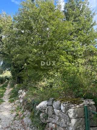 Grundstück - Verkauf - ISTARSKA - POREČ - BADERNA