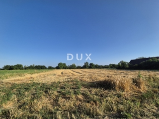 Zemljište - Prodaja - ZAGREBAČKA - RUGVICA - NOVAKI OBOROVSKI