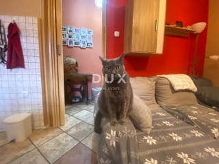 Flat - Sale - PRIMORSKO-GORANSKA - RIJEKA - KANTRIDA