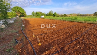 Zemljište - Prodaja - ISTARSKA - LIŽNJAN - LIŽNJAN