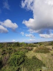 Land - Sale - ZADARSKA - SUKOŠAN - DEBELJAK