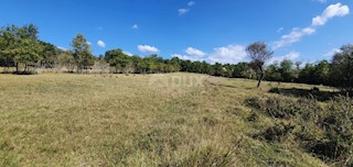 Land - Sale - ISTARSKA - GROŽNJAN - GROŽNJAN